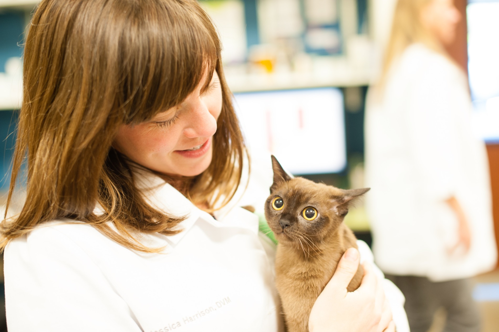 Veterinary Careers In Denver, CO Goodheart Animal Health Centers