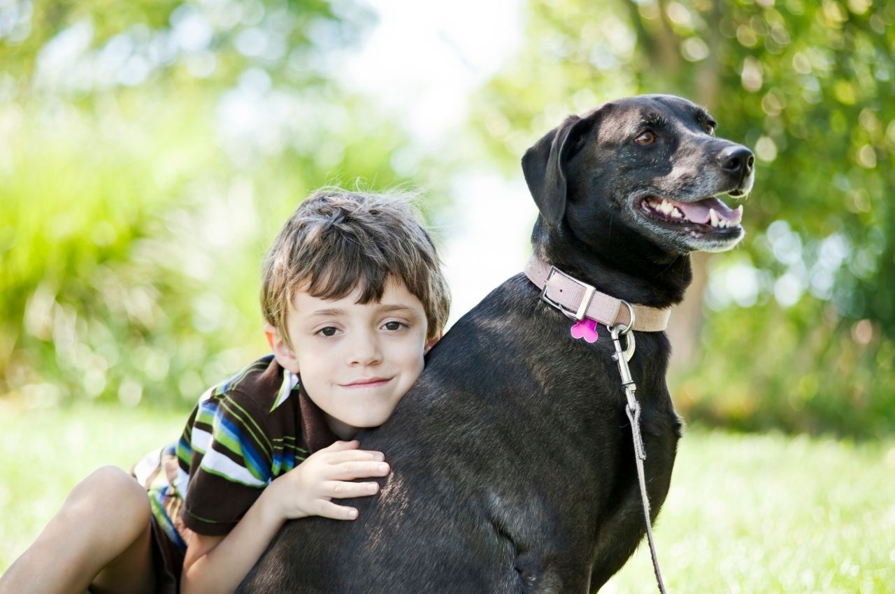 Your Pets Can Live Better Lives – Goodheart Animal Health Centers