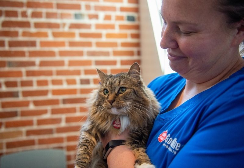 We price fairly for the highest quality care. We never push services your pet doesn’t need.
