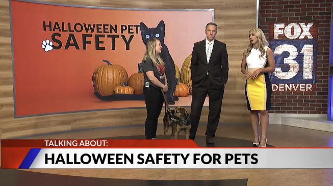 Some Halloween safety tips for pets
