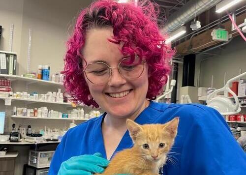 Big Hearts: Heartwarming Kitten Rescues  3 Veterinary Technicians Turn Abandoned Kittens into Beloved Family Members