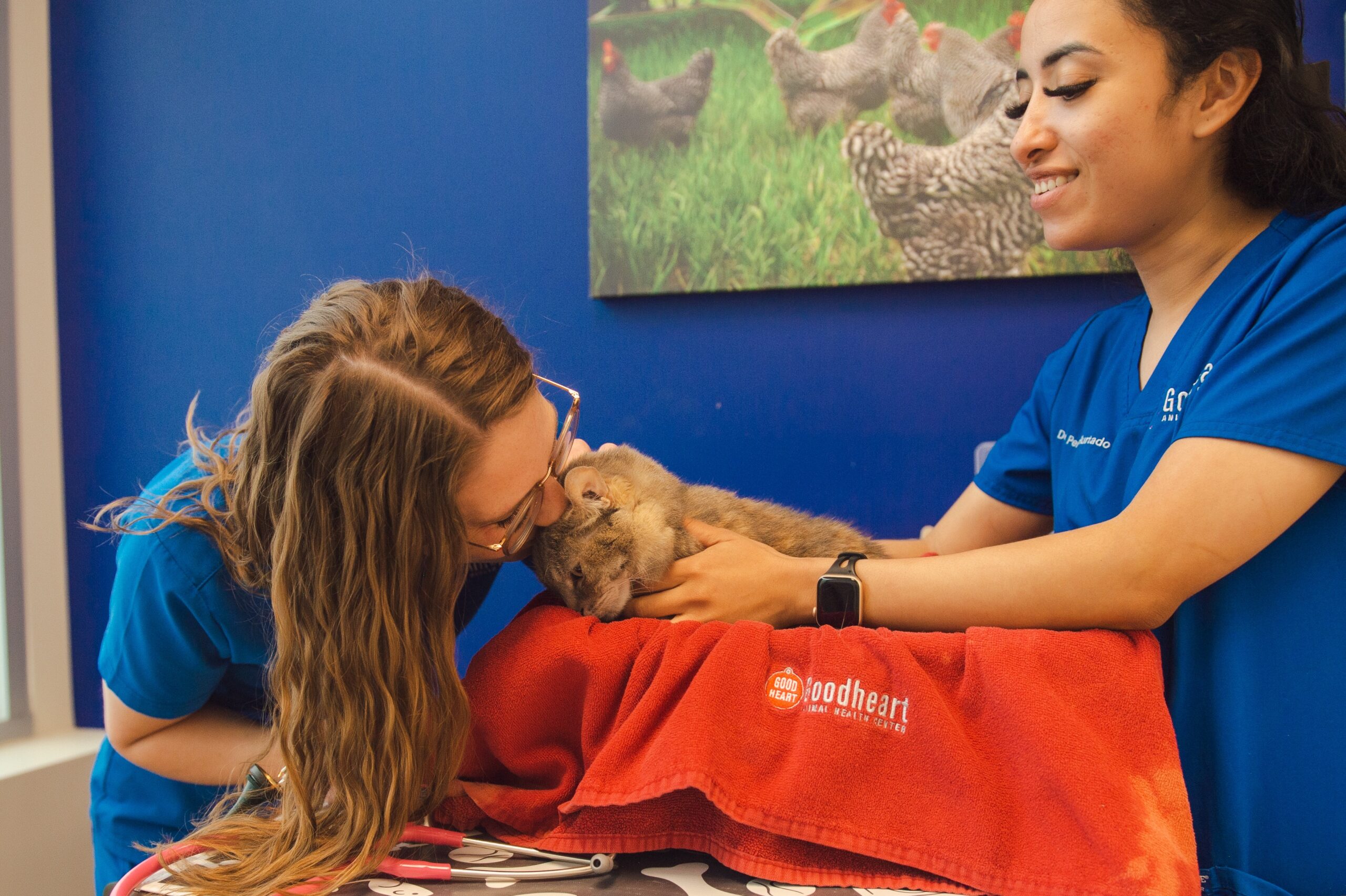 GCC-Dr-Carrie-Oakes-kitty-kisses-scaled